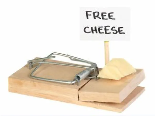 Mouse trap